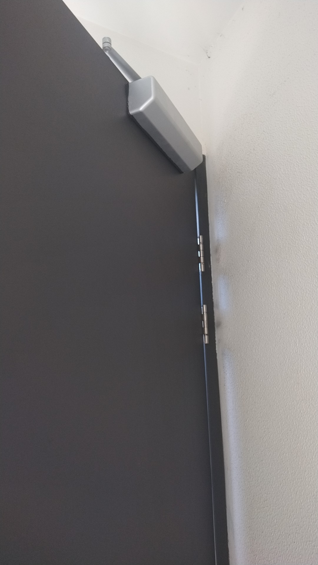 The top corner of a fire door showing the overhead door closer and two stainless hinges against a white wall